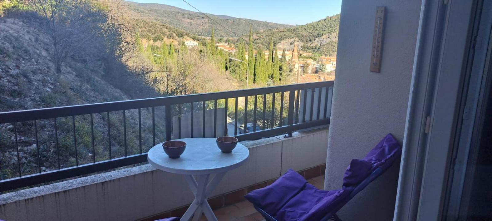 Studio Phannie Renove 50M Cures Амелі-ле-Бен-Палальда Екстер'єр фото